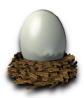 Pocket_Egg